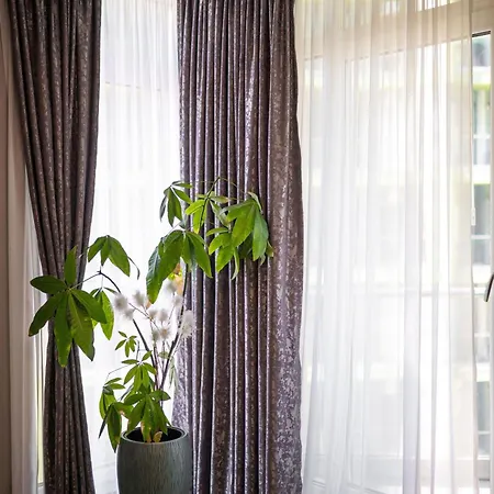 Apartmán Dream & Pool Năvodari