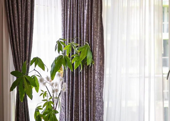 Апартаменты Dream & Pool Нэводари